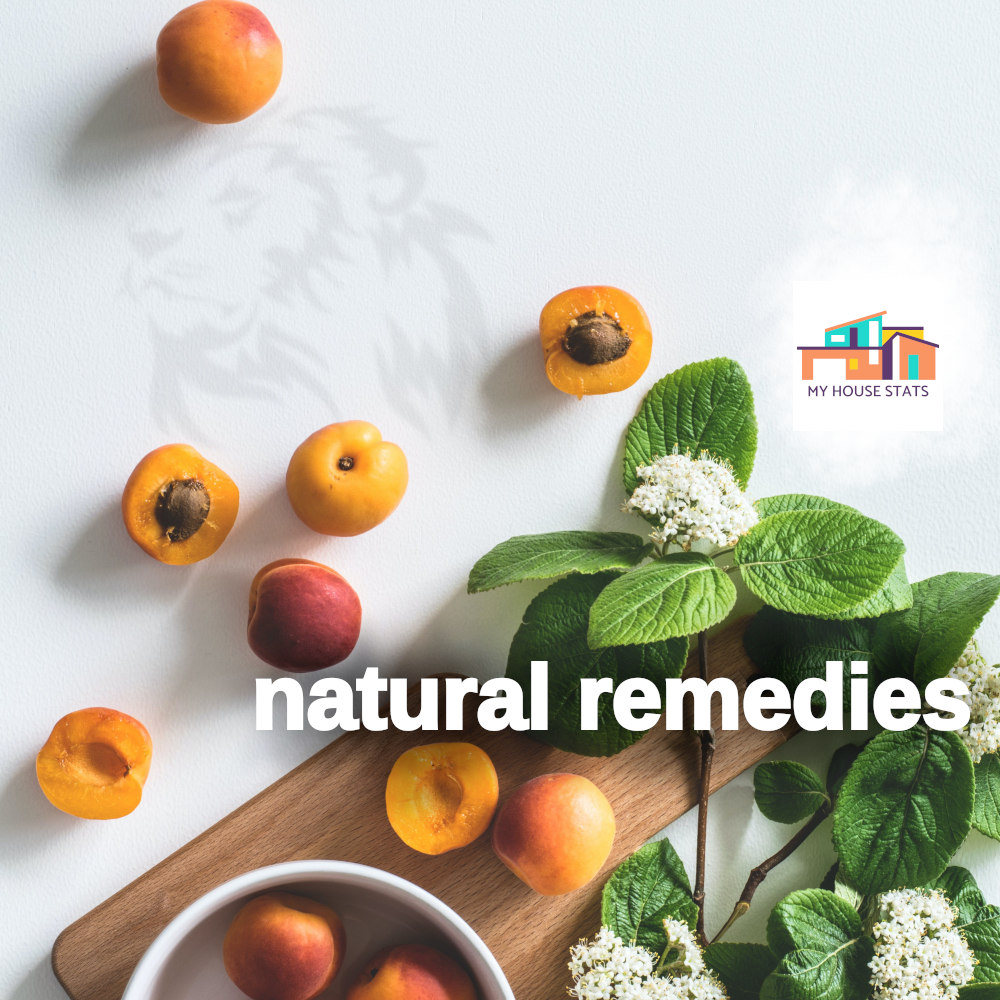 Read more about the article Natural Remedies in the Age of Modern Medicine