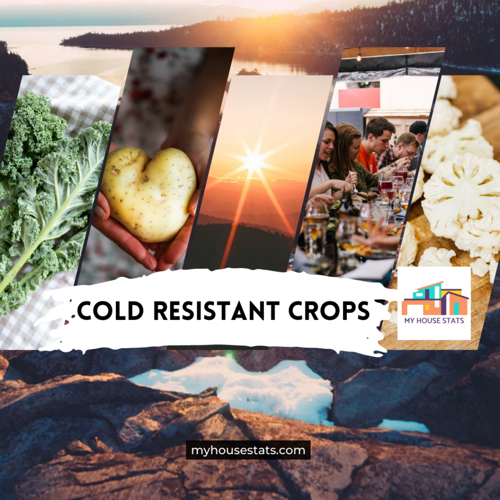 Read more about the article Cold-Weather Crops to Grow