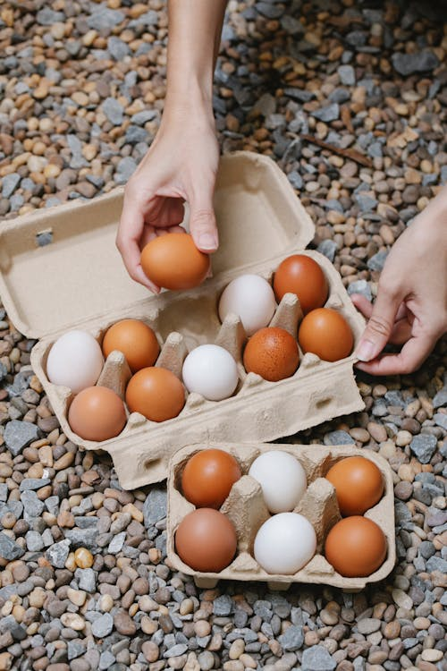 chicken eggs

https://myhousestats.com