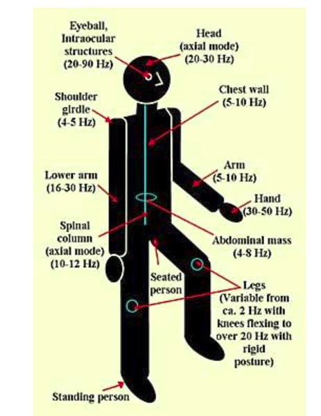 human body frequency chart

https://myhousestats.com