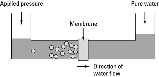 reverse osmosis