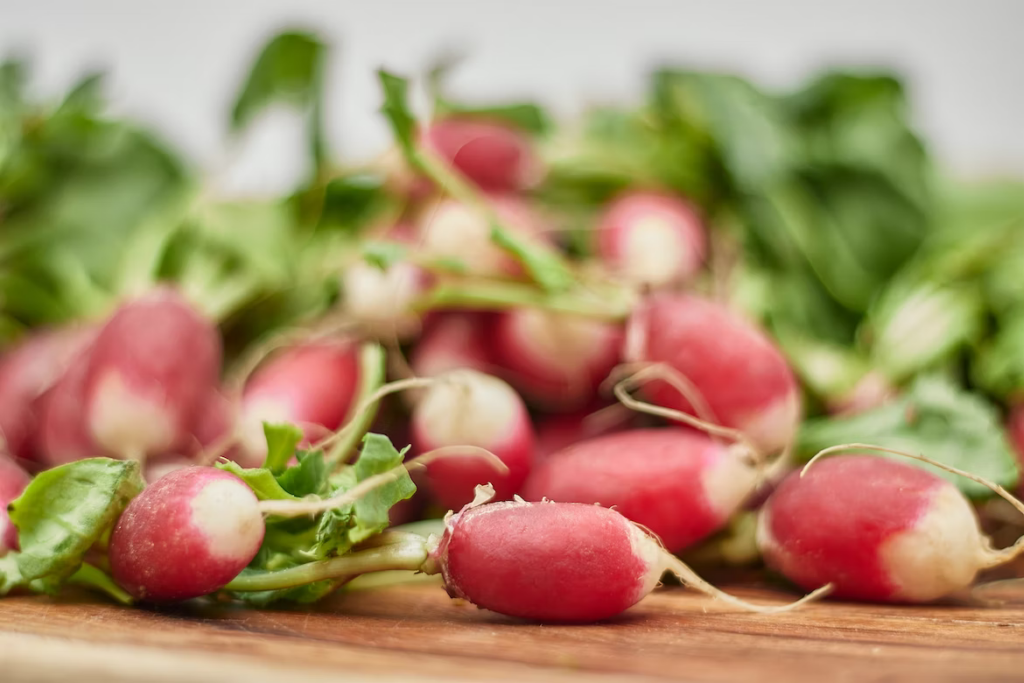 even more cold weather crops - radishes