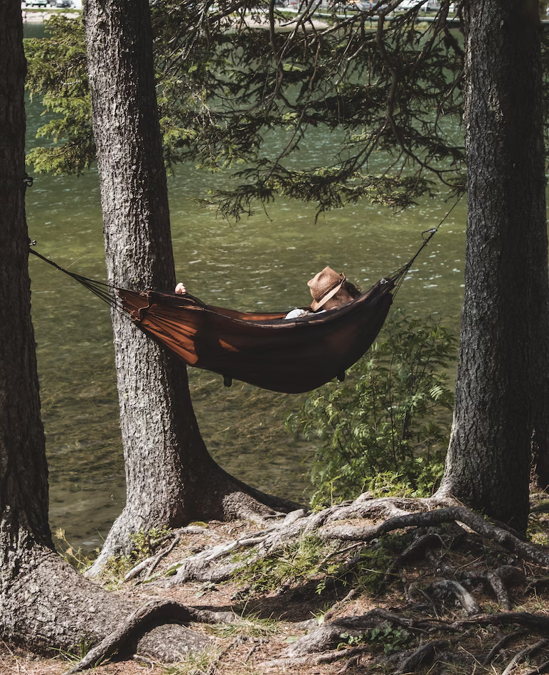 hammock shelter

https://myhousestats.com