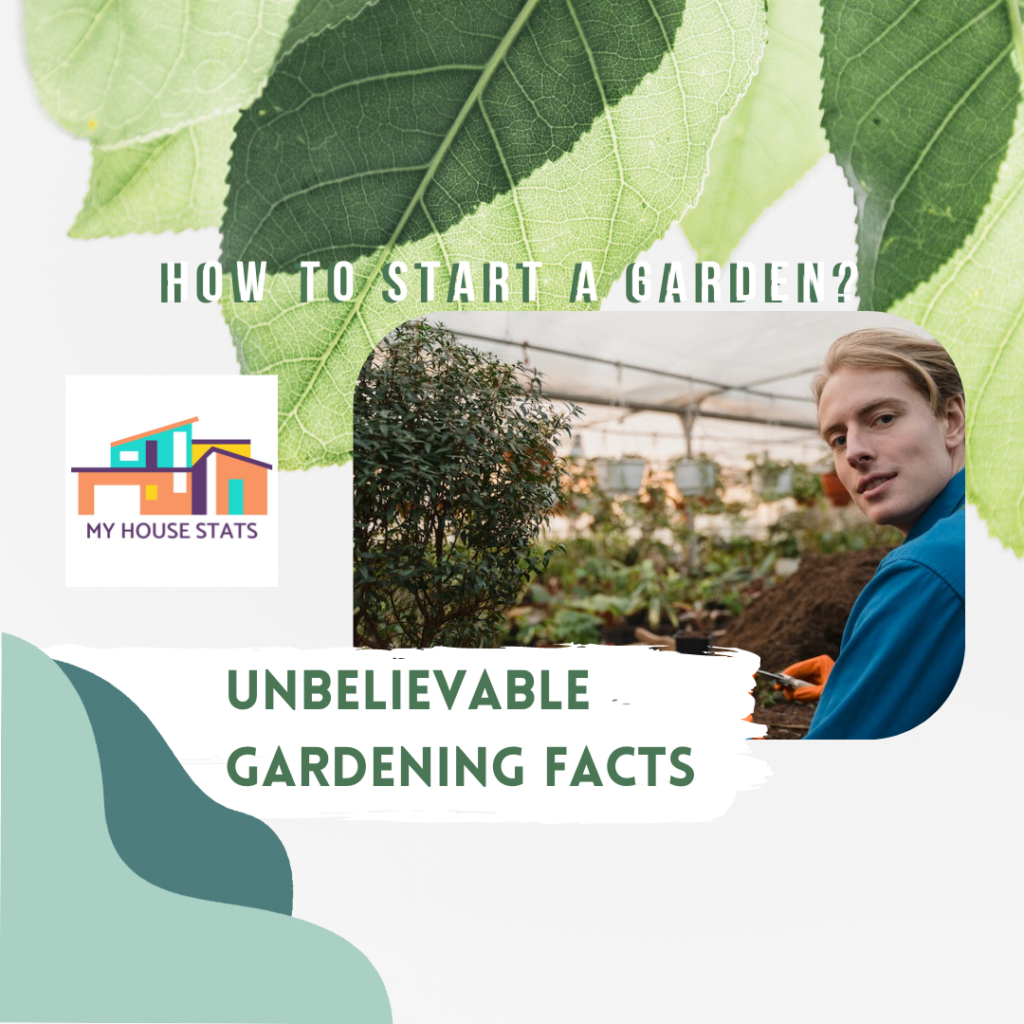 Read more about the article Five Unbelievable Facts About Gardening