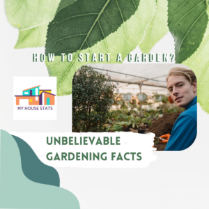 Read more about the article Five Unbelievable Facts About Gardening